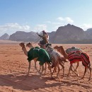 03 Fotozirkel Mannheim e.V. Christa Treiber Kloetzer